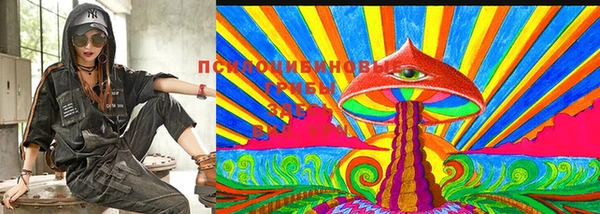PSILOCYBIN Алексеевка