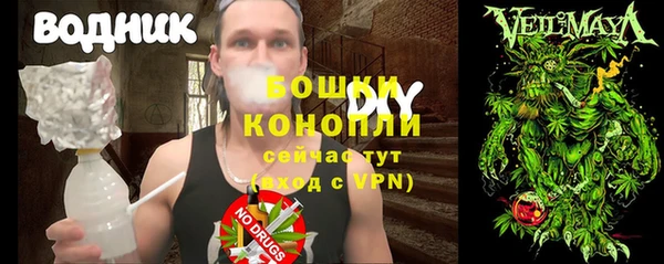 PSILOCYBIN Алексеевка