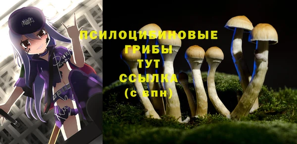 PSILOCYBIN Алексеевка